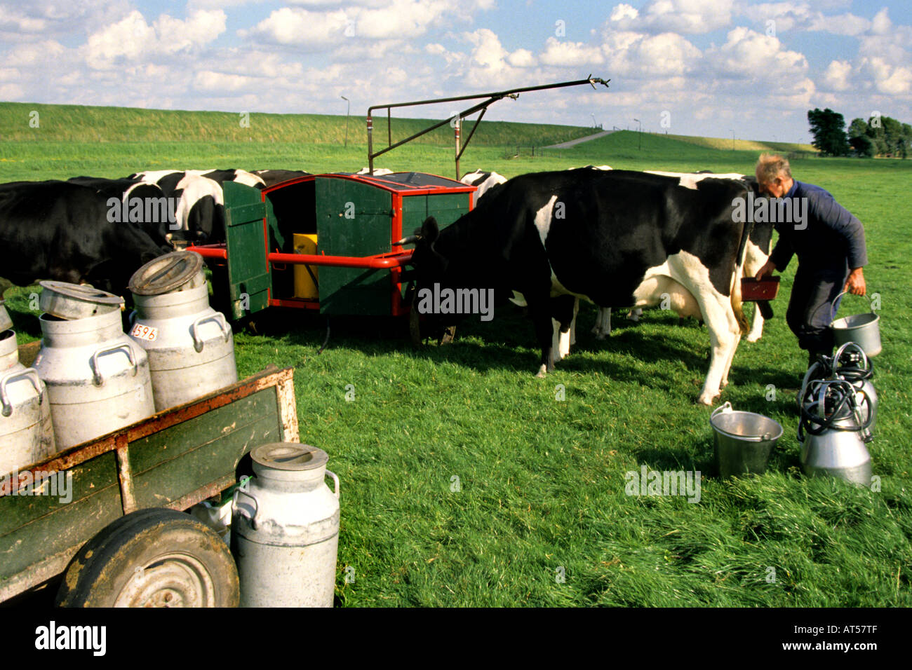 north holland Netherlands dairy farm milk milking machine farmer Stock