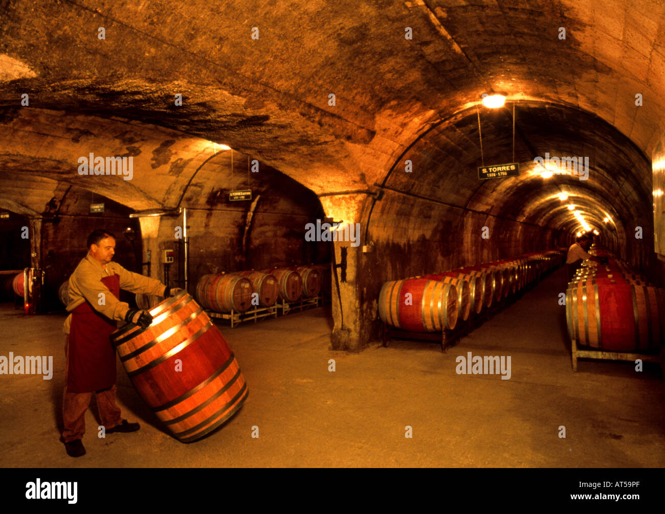Spanish Cave Spain Wine Torres Cellar Barrel Cask Stock Photo Alamy