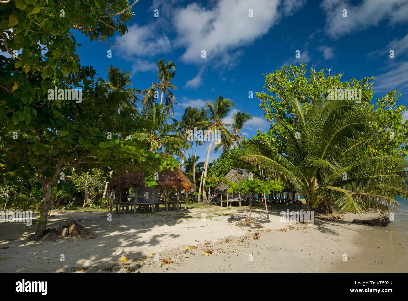 a typically FALE on beach beachfale SAMOA UPOLU namua island NE ...