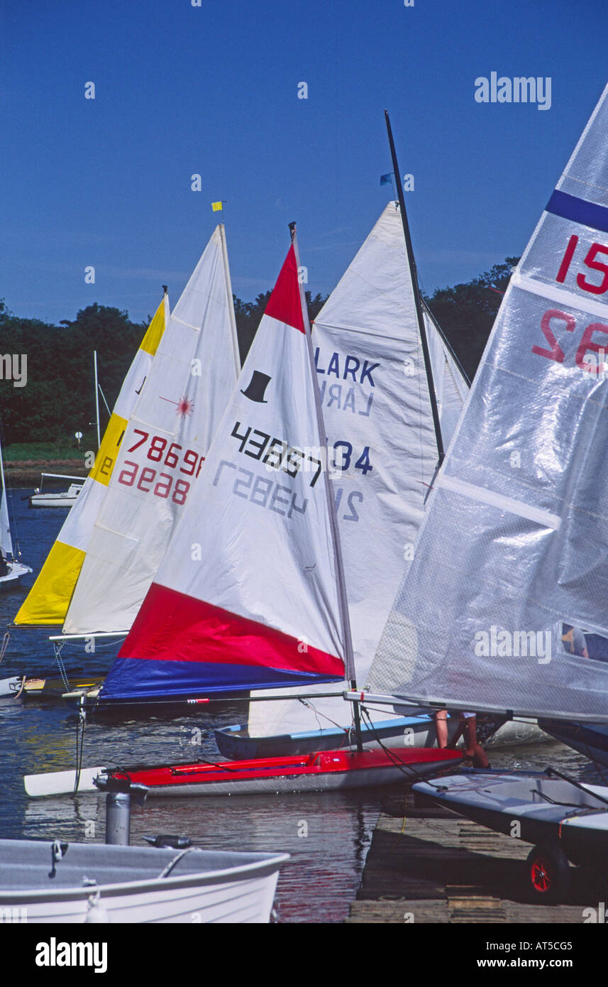 Sails of sailing dinghy boats River Deben Woodbridge Suffolk Stock