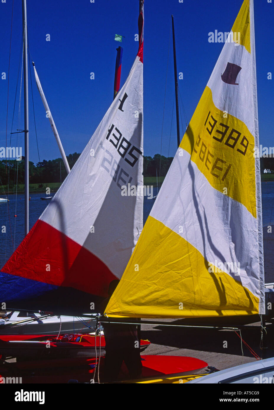 Sails of sailing dinghy boats River Deben Woodbridge Suffolk Stock