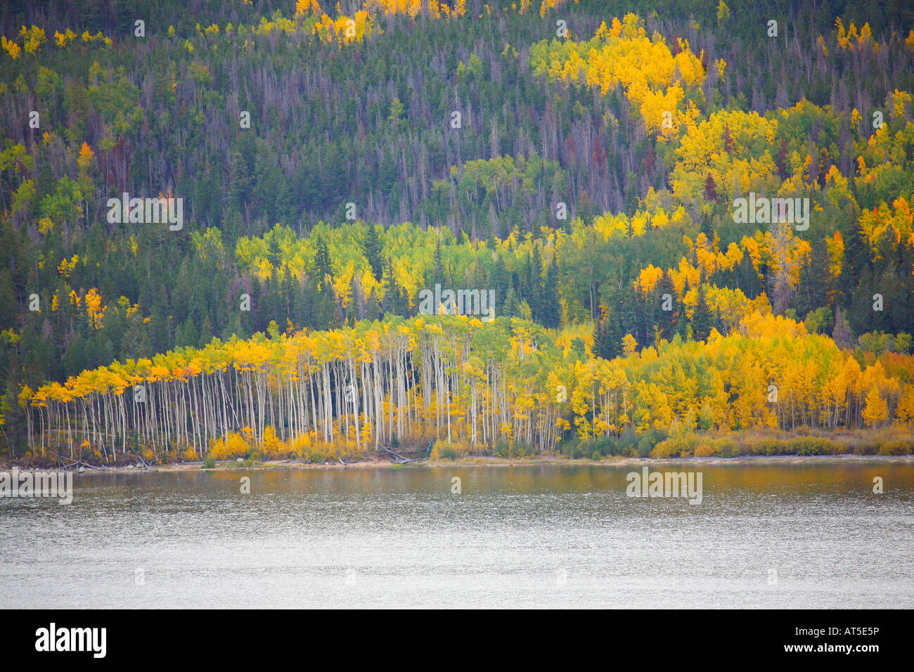 Twin Lake, San Isabel National Forest, Colorado Stock Photo - Alamy