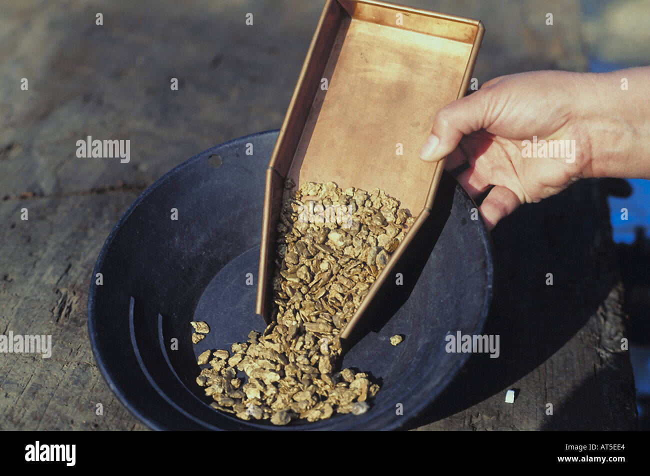 Промыв золота старатели. Мыть золото вручную. Золотодобыча старатели. Старатели золотодобытчики. Старатели намывают золото.