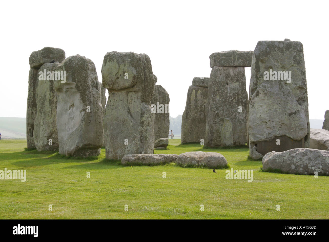 Wiltshire Stonehenge Historic standing stone circle. Stock Photo