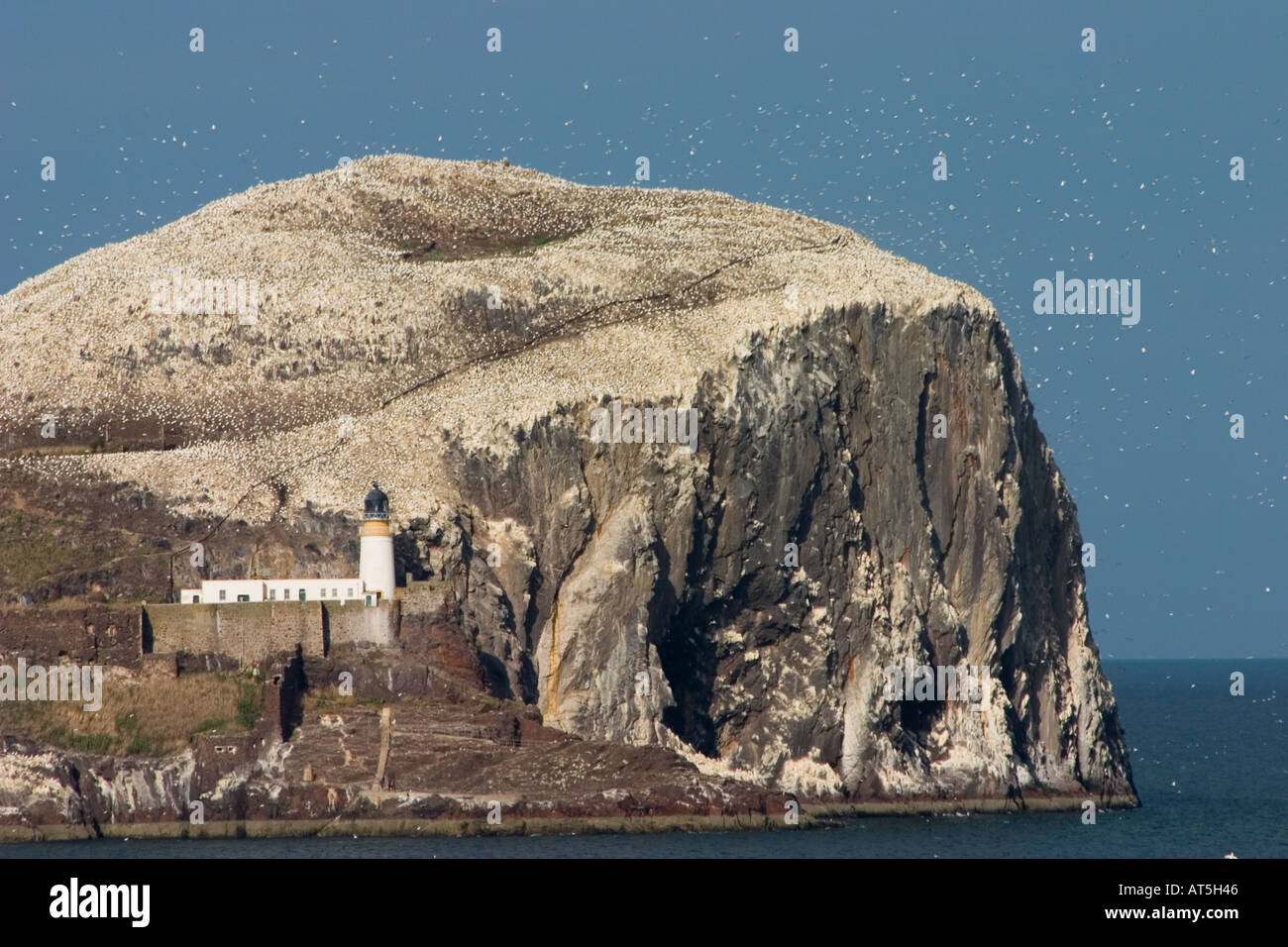 Bass Rock Scotland bird sanctuary view from Tantallon Castle Berwickshire Scotland ancient stronghold of the Douglas clan Stock Photo