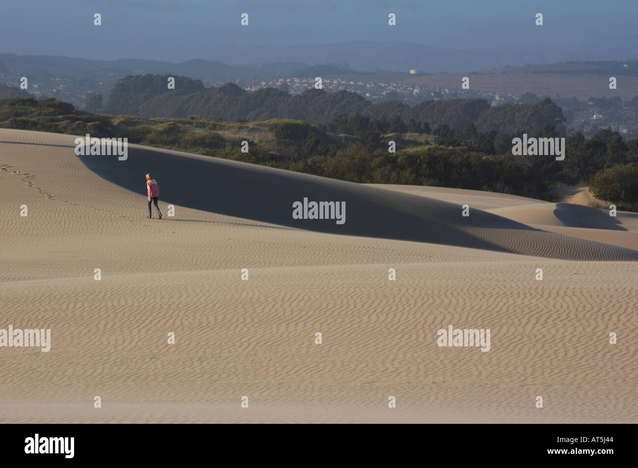 Oceano Sand Dunes Stock Photo Alamy