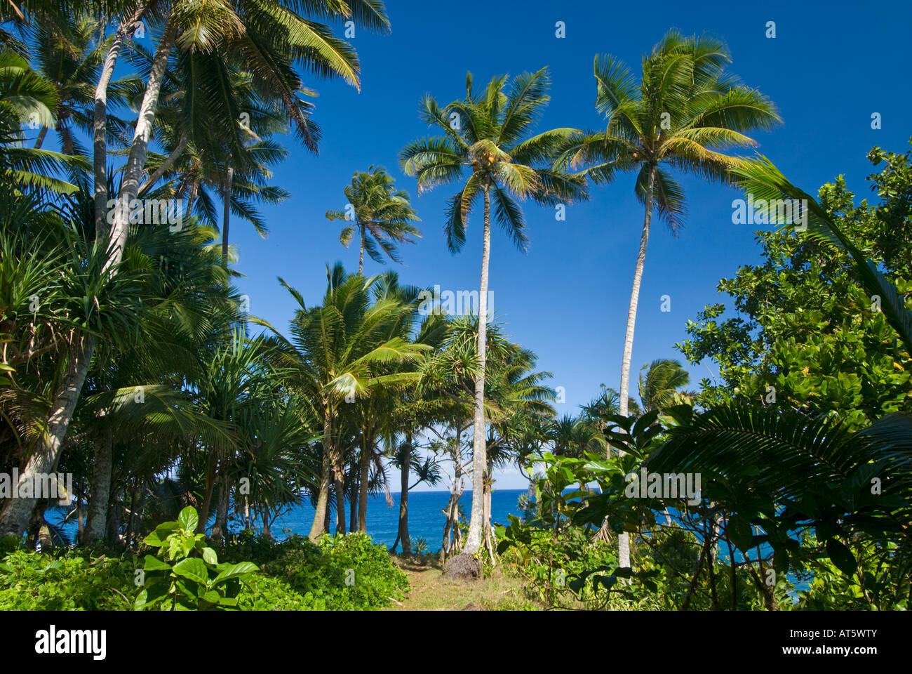 SAMOA southcoast Ocean-Trench ocean trench coast rock stone famous ...