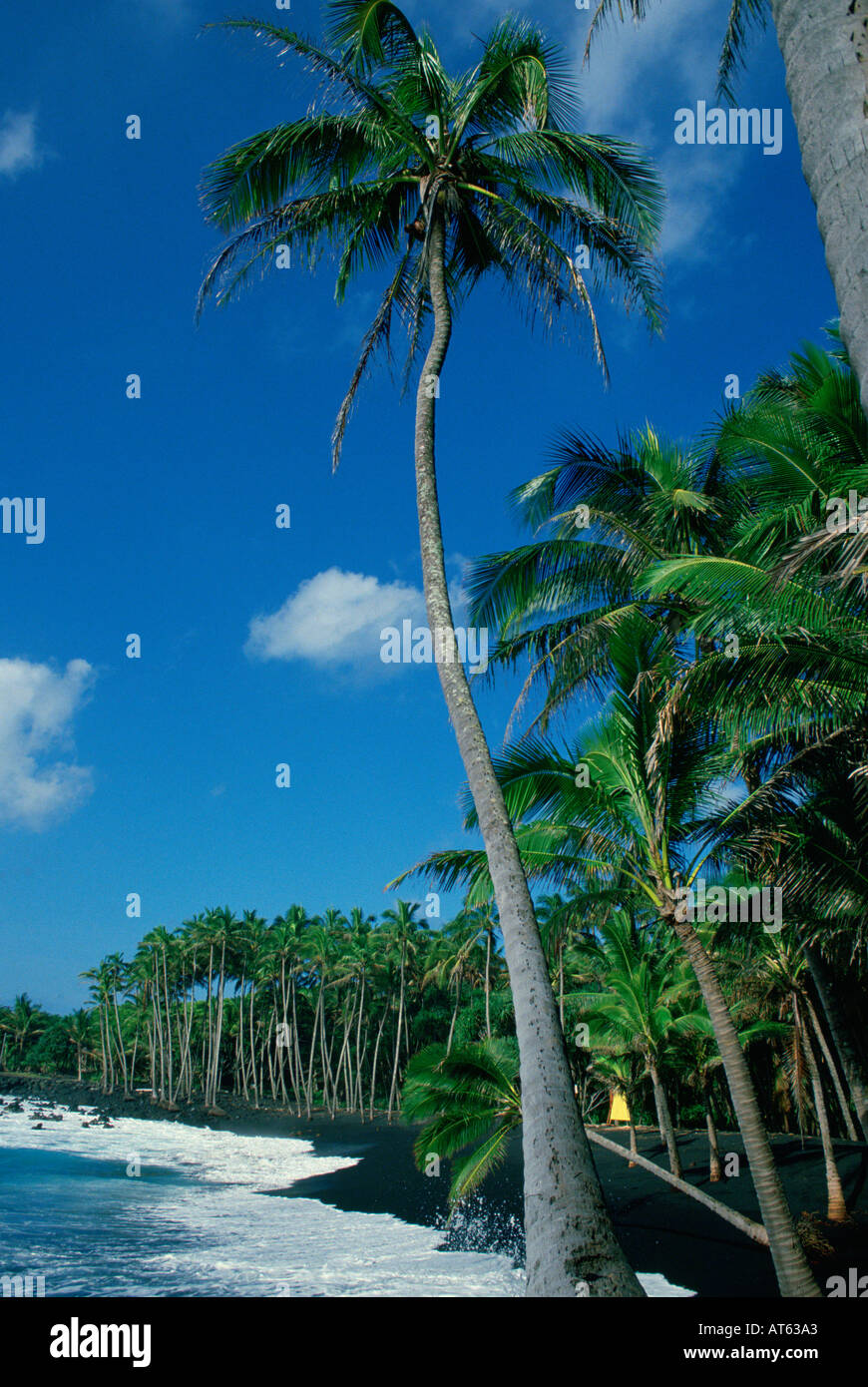 Kalapana black sand beach hi-res stock photography and images - Alamy