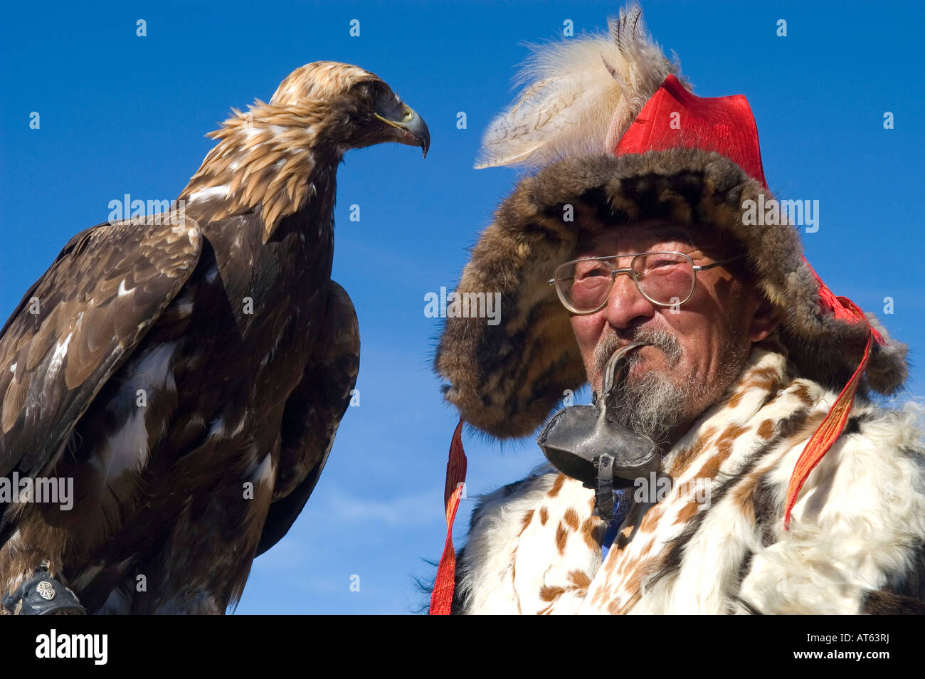 An eagle hunter prepares to demonstrate his eagle for spectators at the annual Eagle Hunting Festival Bayan Olgi, Mongolia Stock Photo