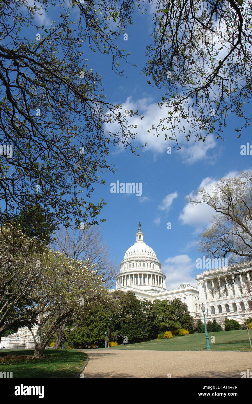 USA Capitol Building on a Bright Sunny Day Viewed From Below Washington DC USA Copy Space Stock Photo