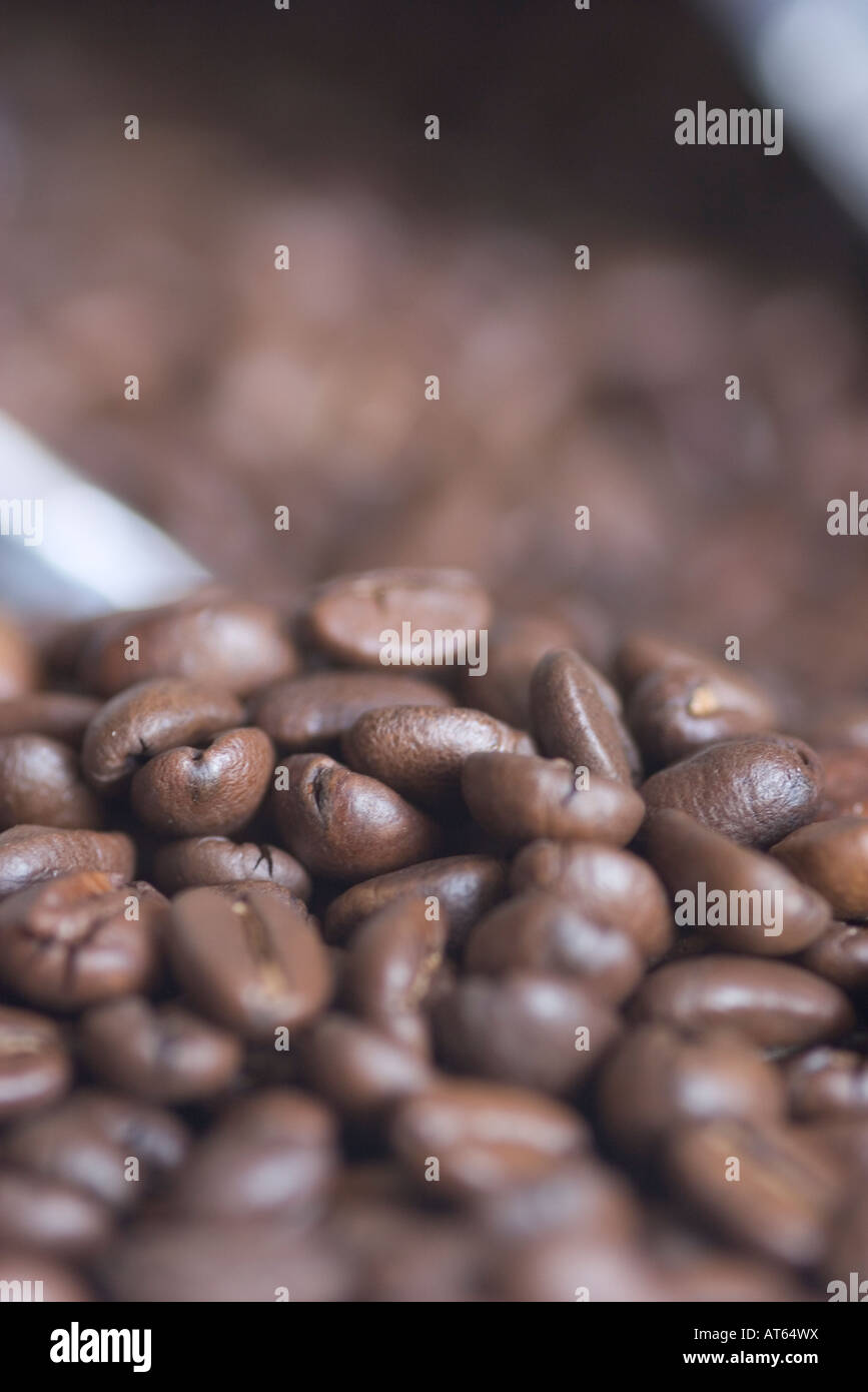 Roasted coffee beans in pile Stock Photo - Alamy