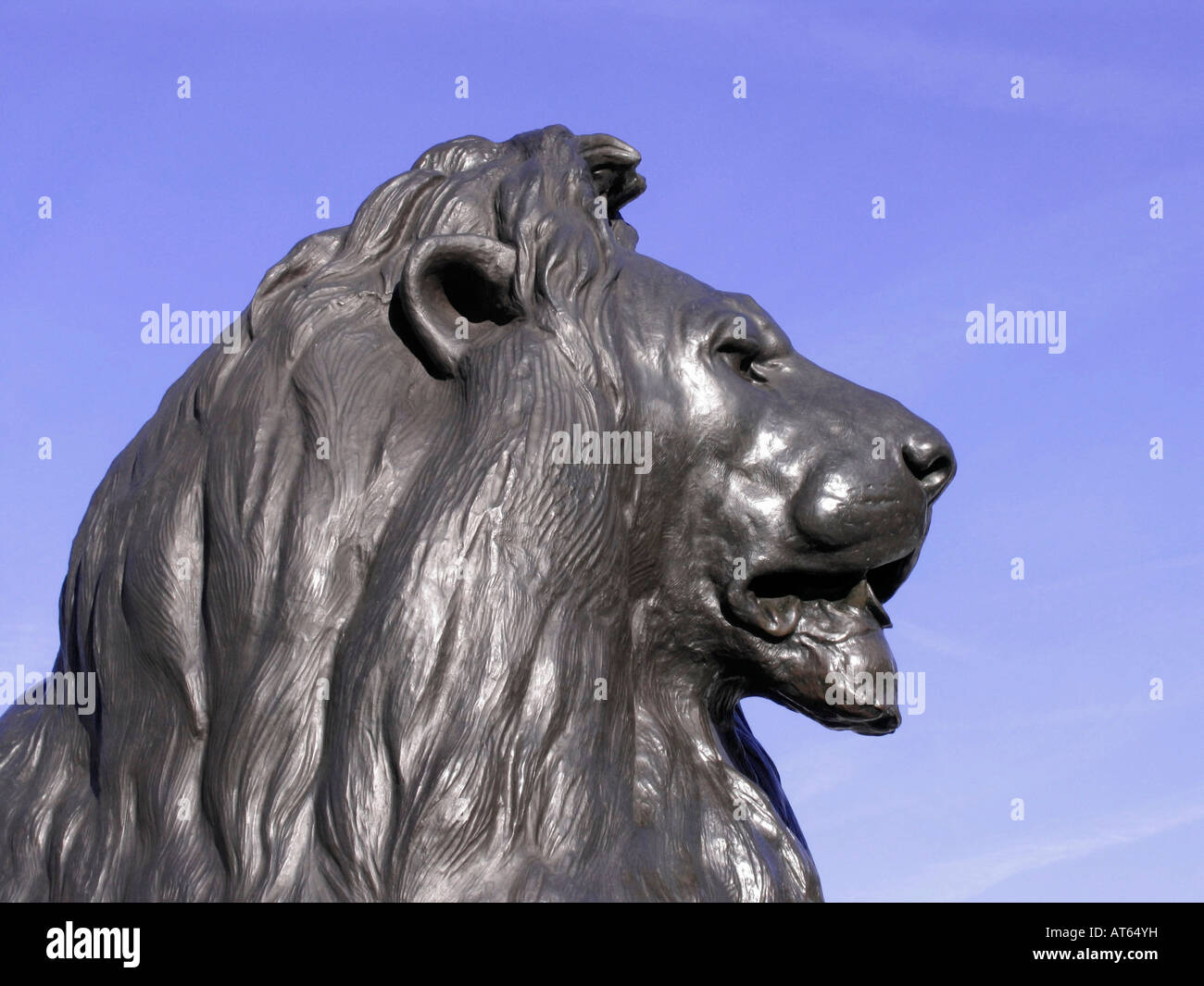 Lion Statue Trafalgar Square High Resolution Stock Photography and