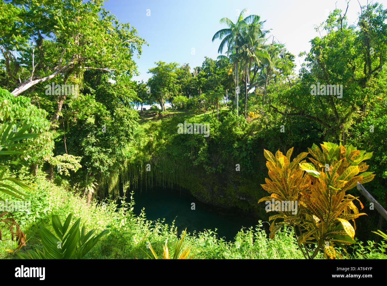 SAMOA southcoast Ocean-Trench ocean trench coast rock stone famous ...