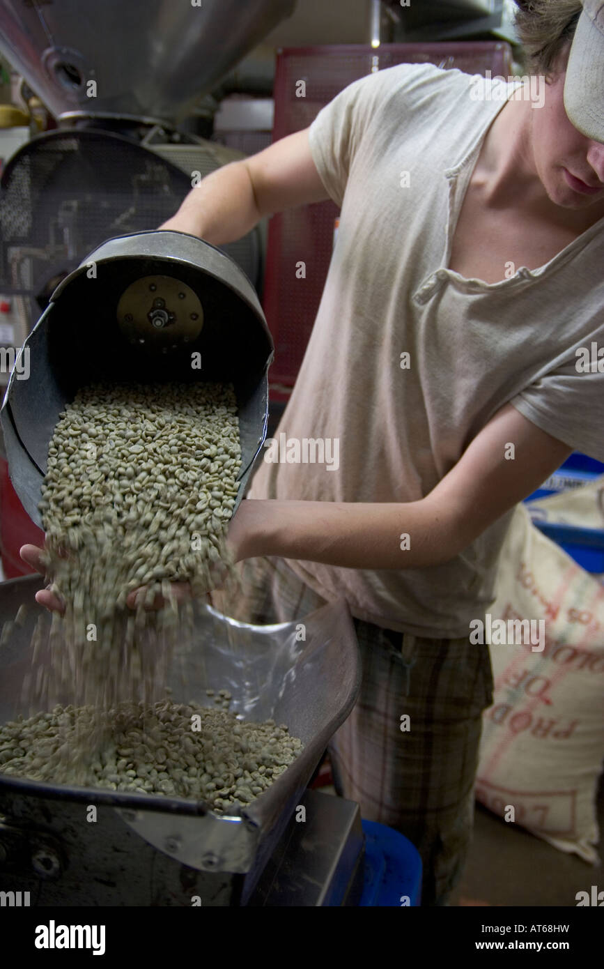blending and processing raw coffee beans Stock Photo Alamy
