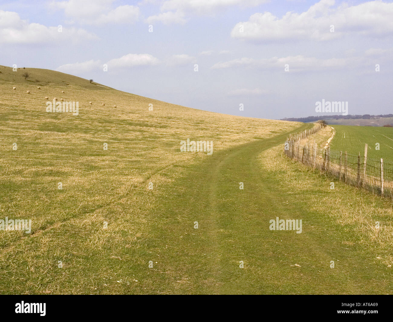 the ridgeway path the chilterns buckinghamshire england Stock Photo Alamy