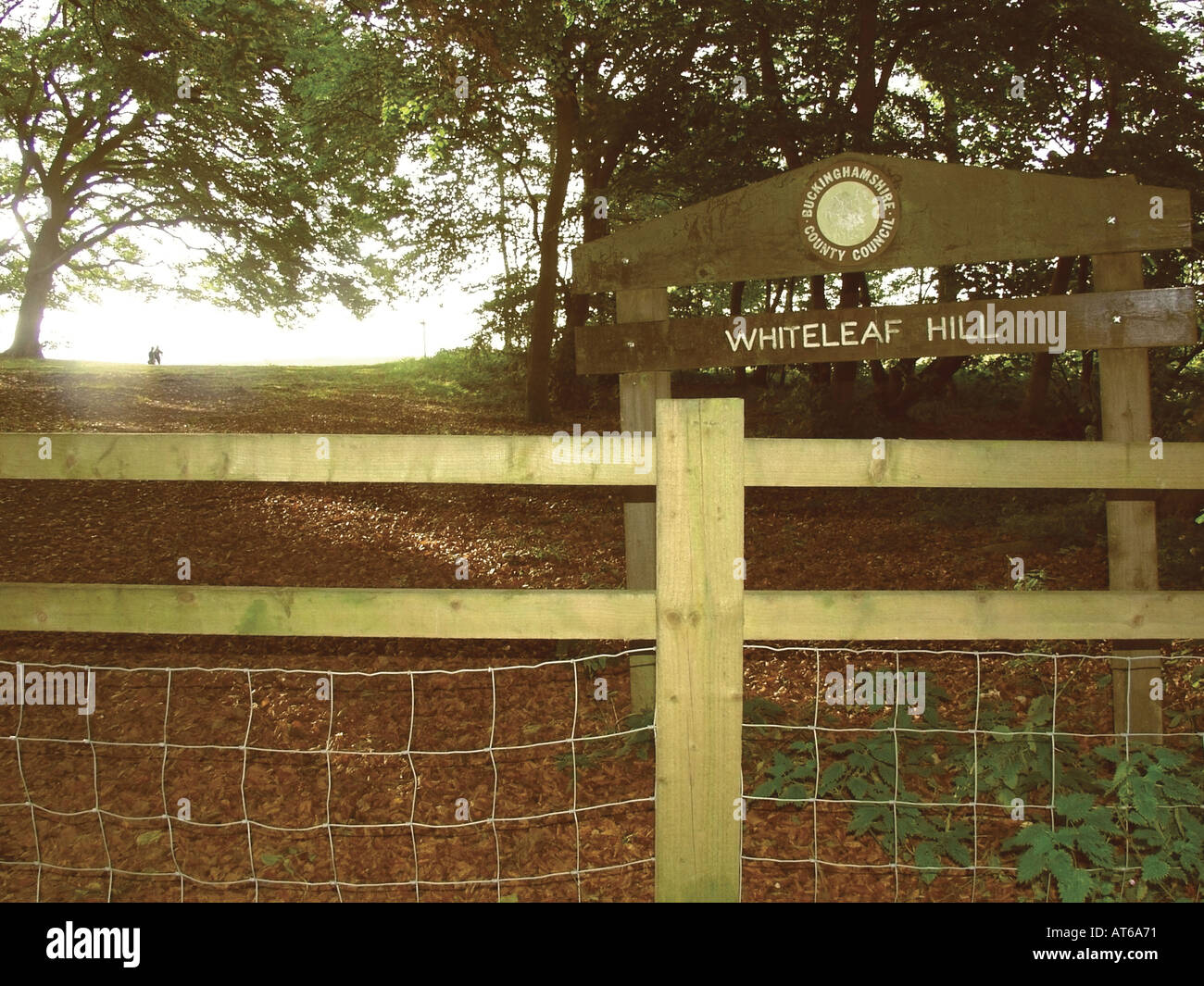 whiteleaf hill the ridgeway path the chilterns buckinghamshire england