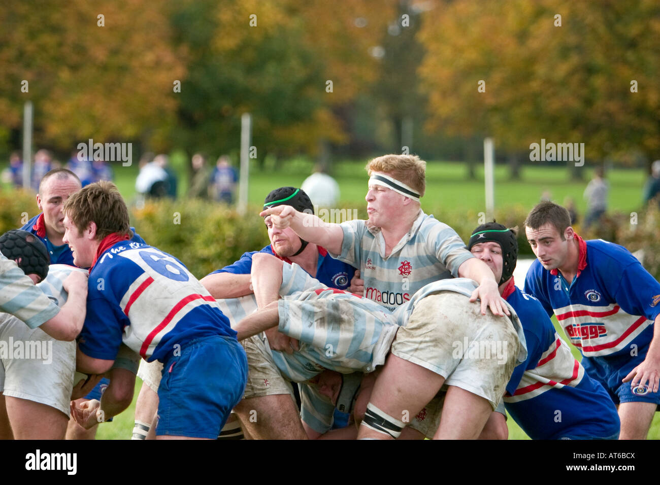 Rugby maul Stock Photo Alamy