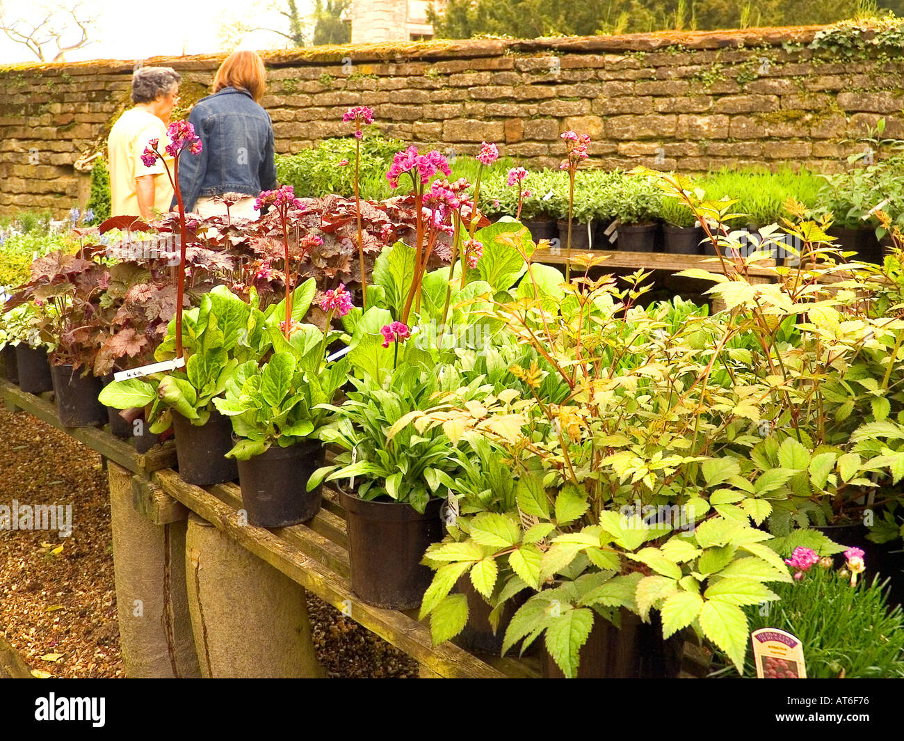 northamptonshire castle ashby estate stately home Stock Photo Alamy