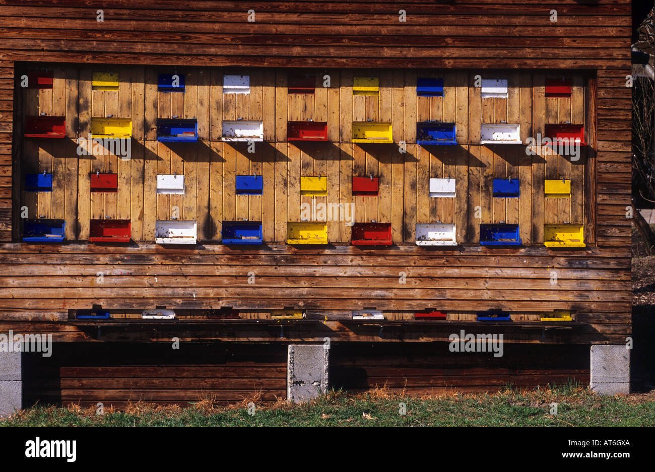 Bee hives hi-res stock photography and images - Alamy
