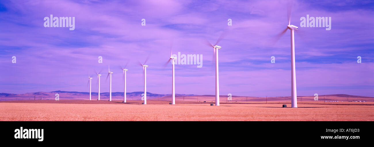 Wind Turbines generate Electricity in the Foothills of the Canadian