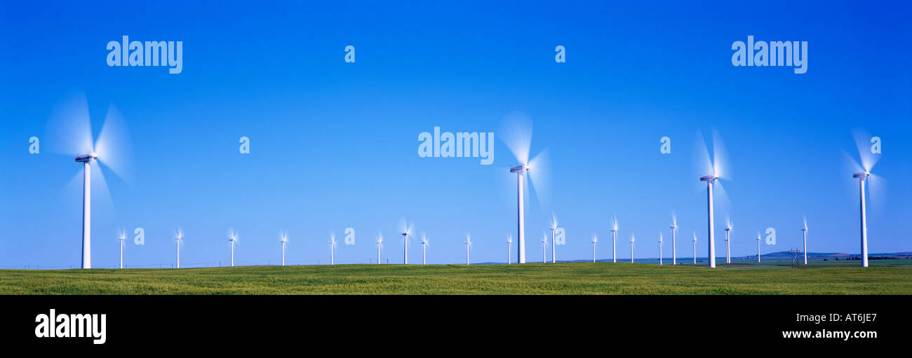 Wind Turbines generate Electricity in the Foothills of the Canadian