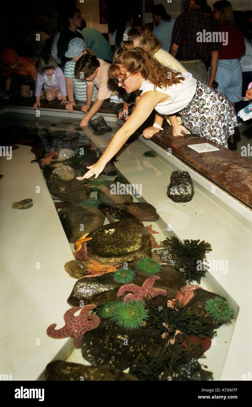 Touch feel aquarium hi-res stock photography and images - Alamy