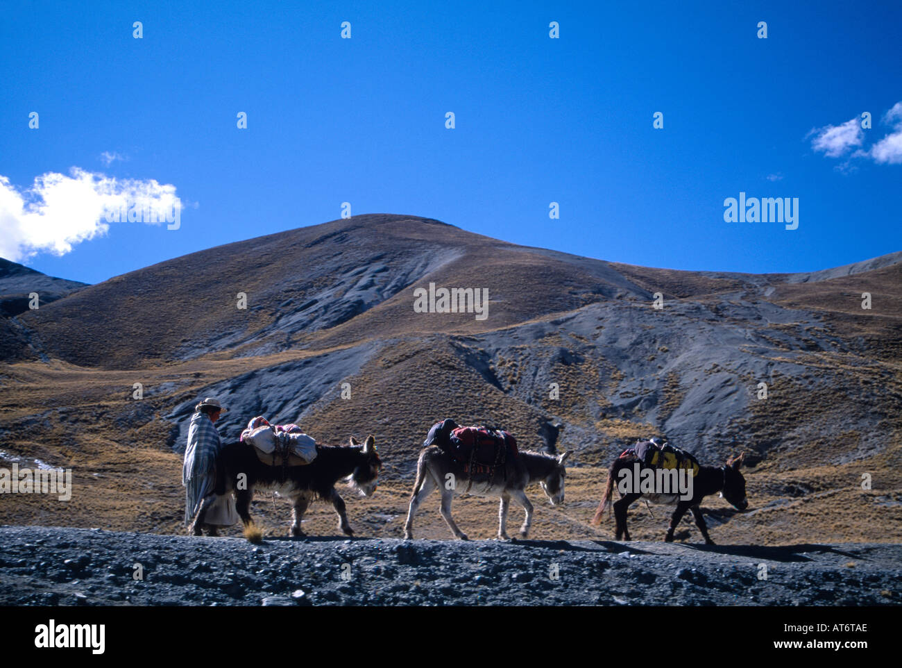Donkeys travelling on mountain range hi-res stock photography and ...