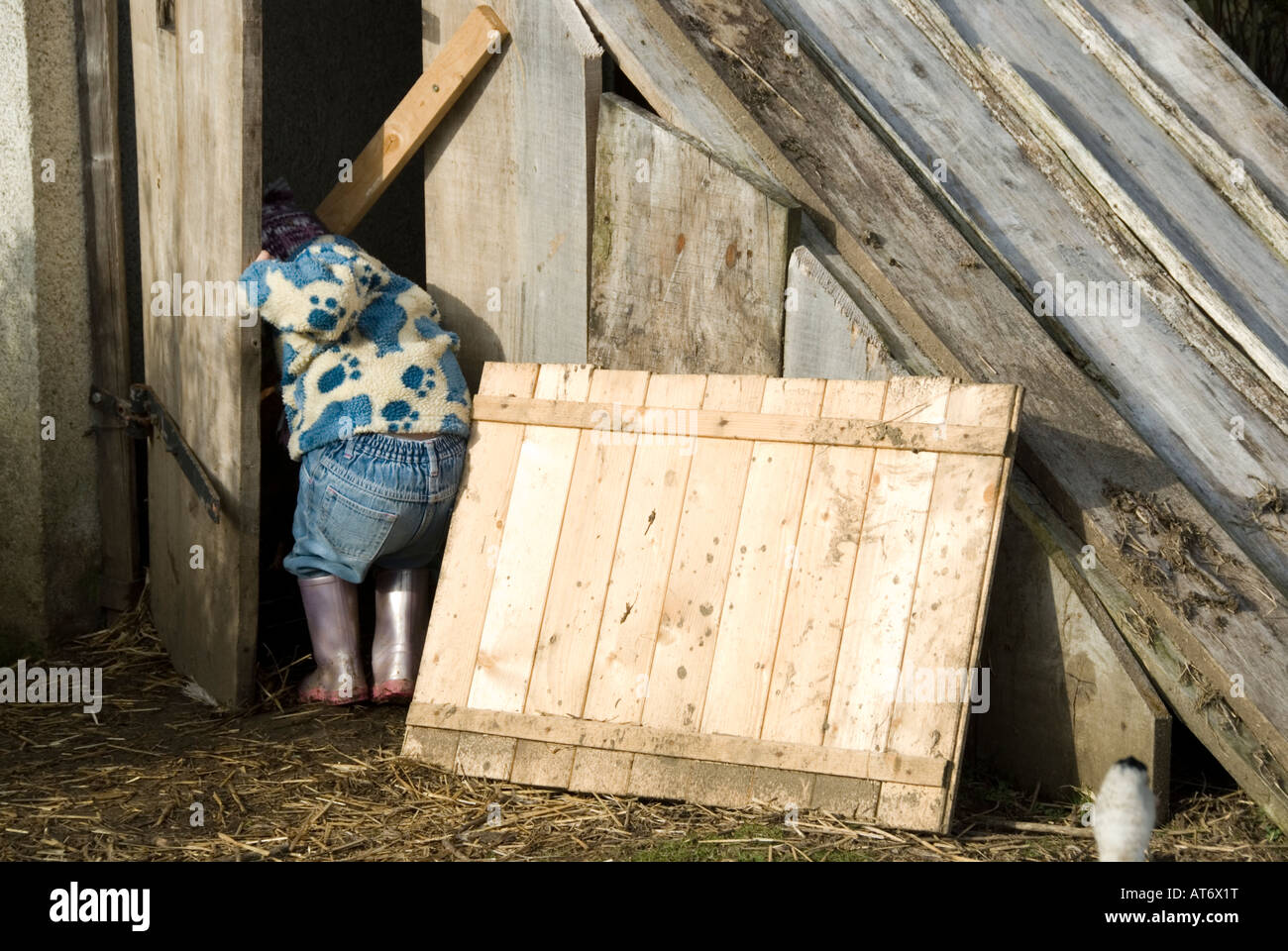Child playing in a chicken coop Stock Photo Alamy