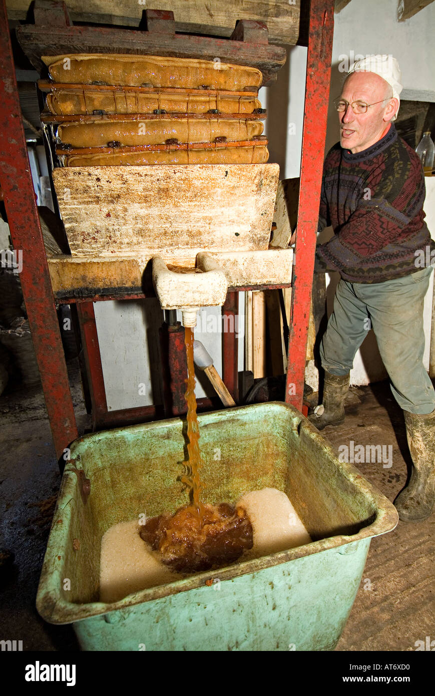 A farmer pressing apples in a small press for making cider and jiuce. Devon, UK Stock Photo