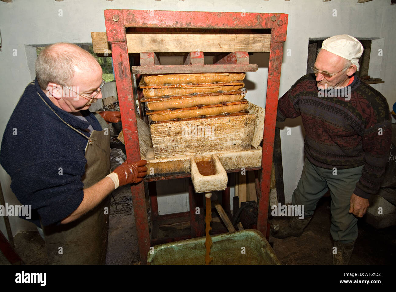 Pressing apples to make cider and apple juice. UK Stock Photo 5296849