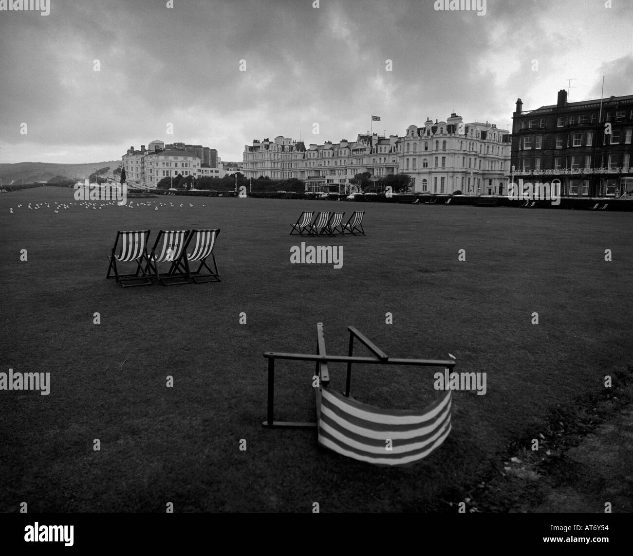 Deckchairs in Eastbourne Stock Photo Alamy