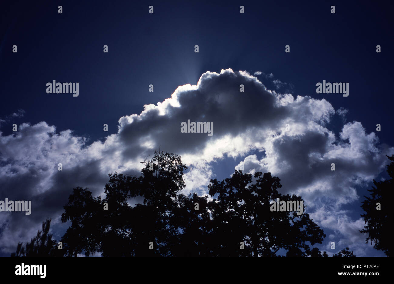Clouds over trees UK Stock Photo