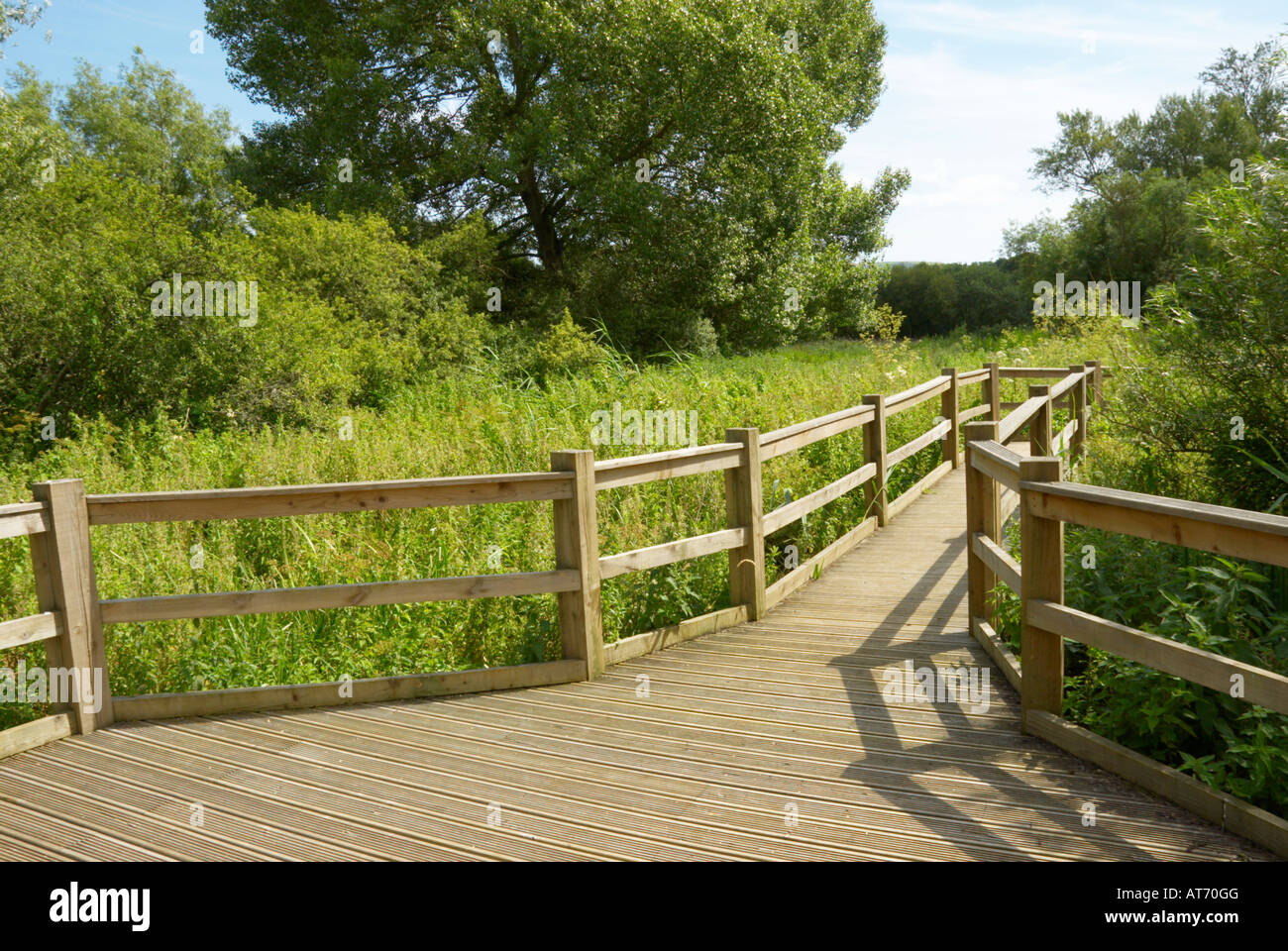 Woods Mill nature reserve, Henfield, Sussex. Stock Photo