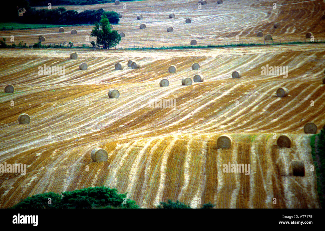 Rolling fields with bales of straw from Eggardon Hill Dorset England