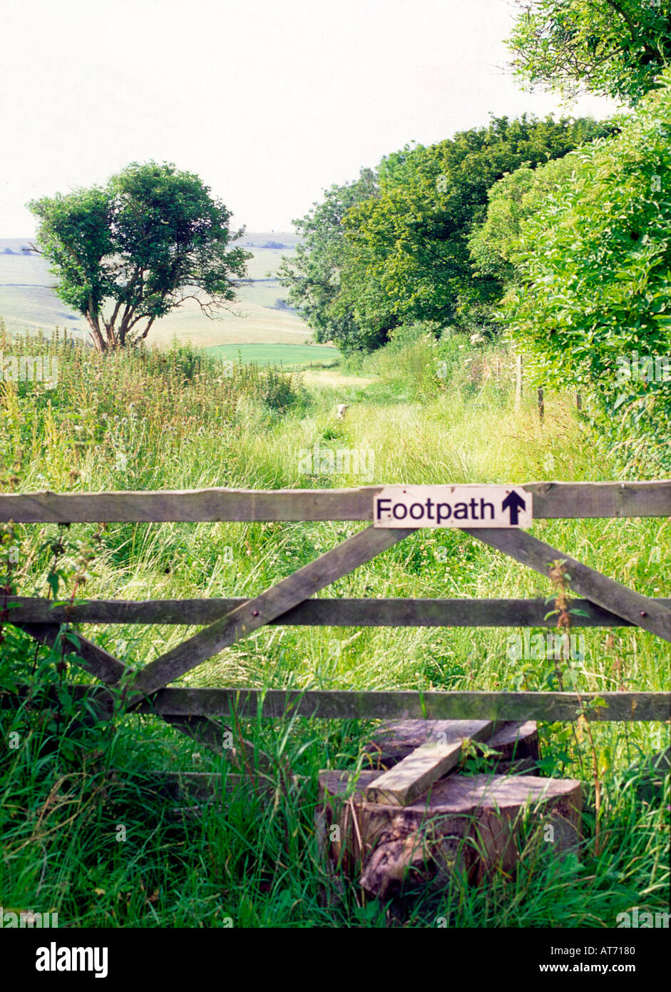 Gate stile and footpath Stock Photo Alamy