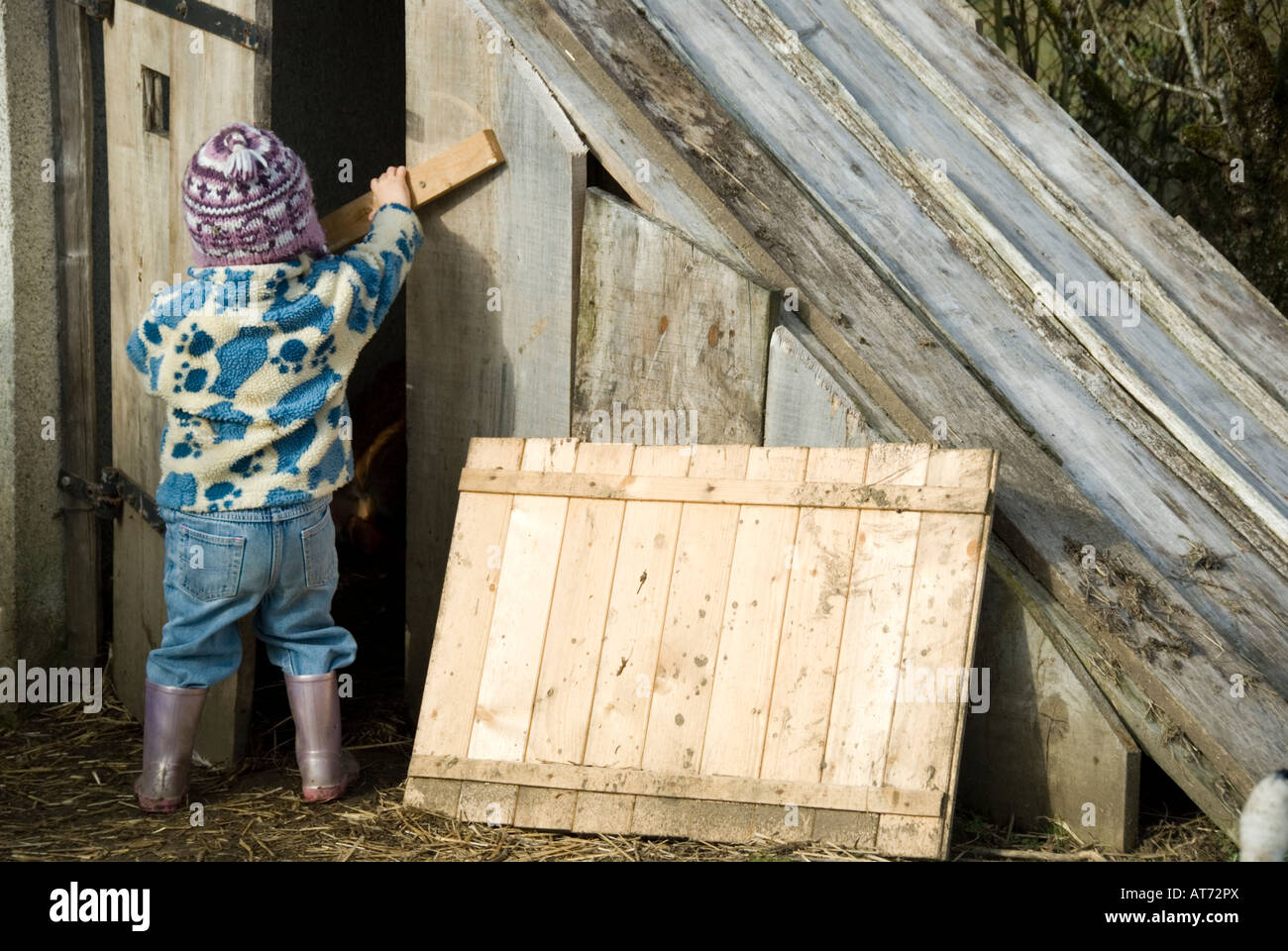 Child playing in a chicken coop Stock Photo Alamy