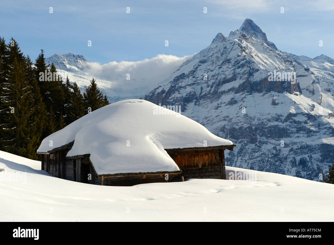Swiss Chalet in winter with the Eiger mountain in the distance. Busalp ...
