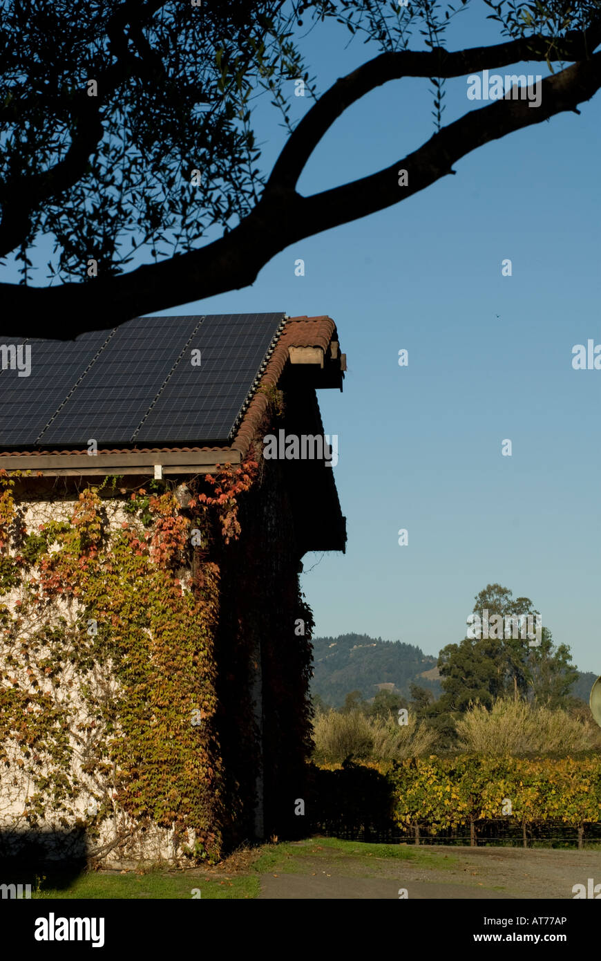 Grgich Hills Vineyards Napa Valley California Stock Photo Alamy