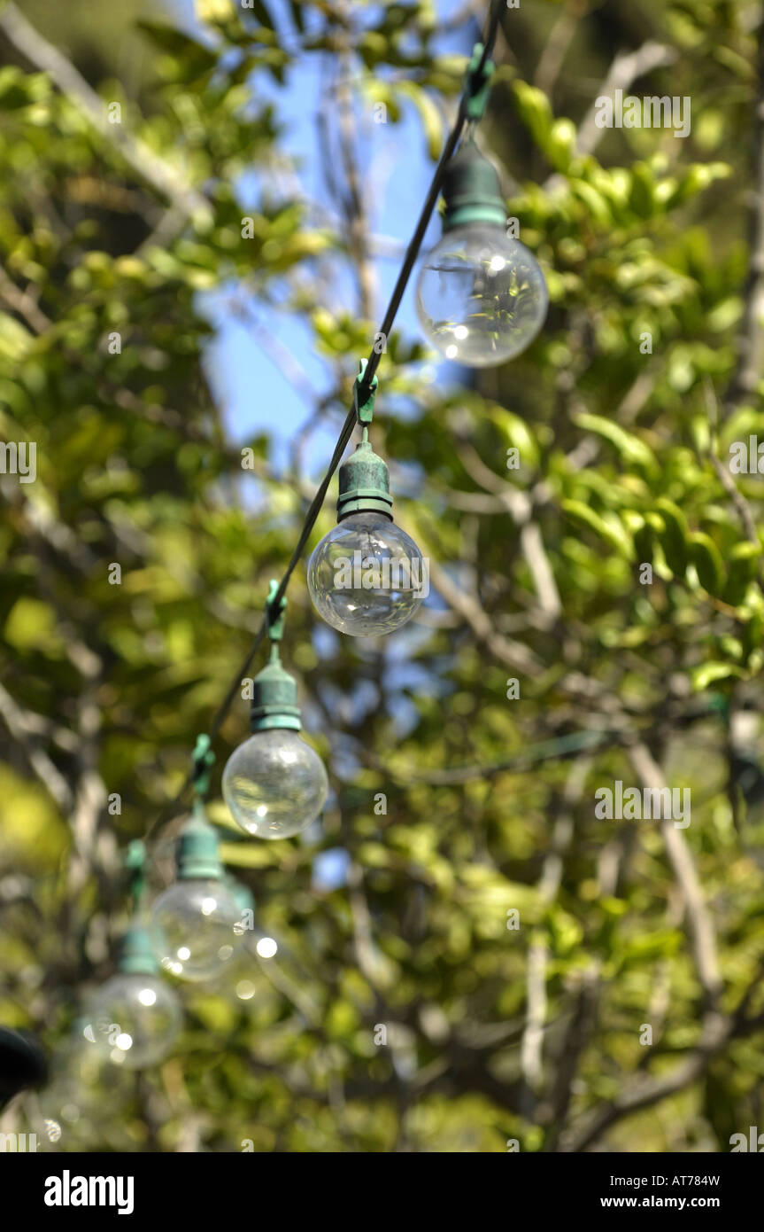 String of outdoor electric lights Stock Photo Alamy