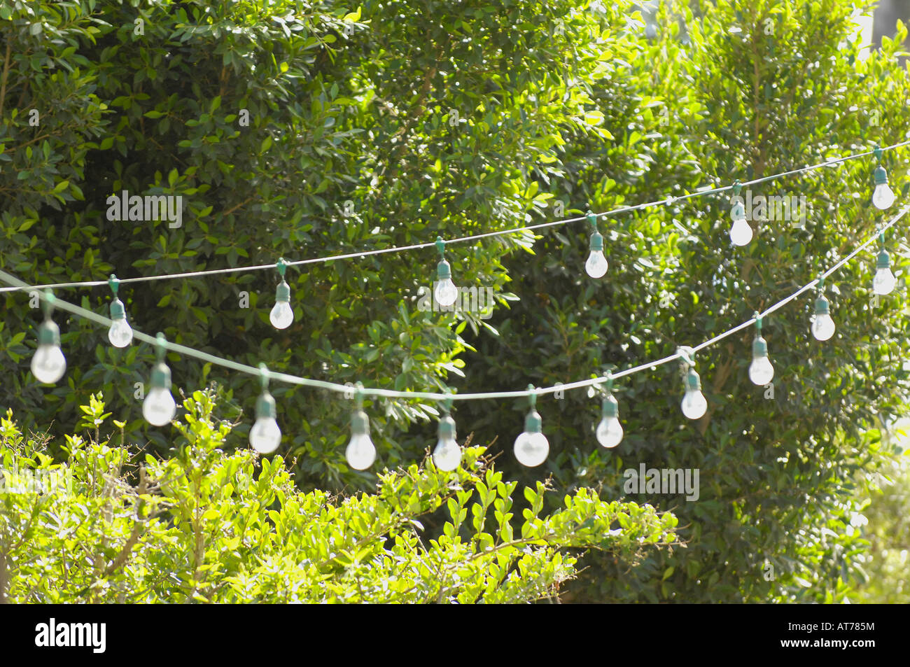 String of decorative electric lights Stock Photo Alamy