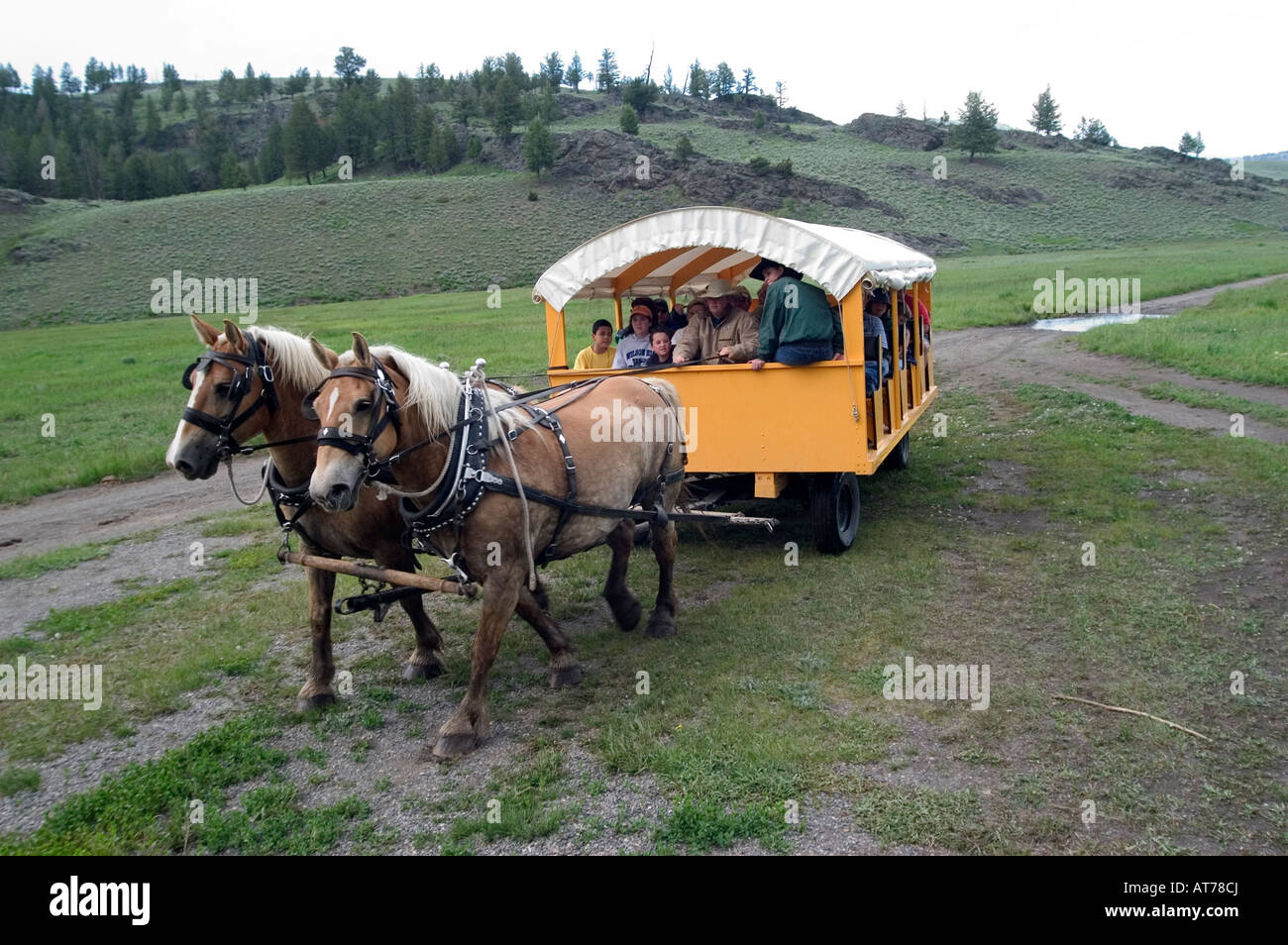 A wagon ride is part of the Roosevelt Lodge's western cookout