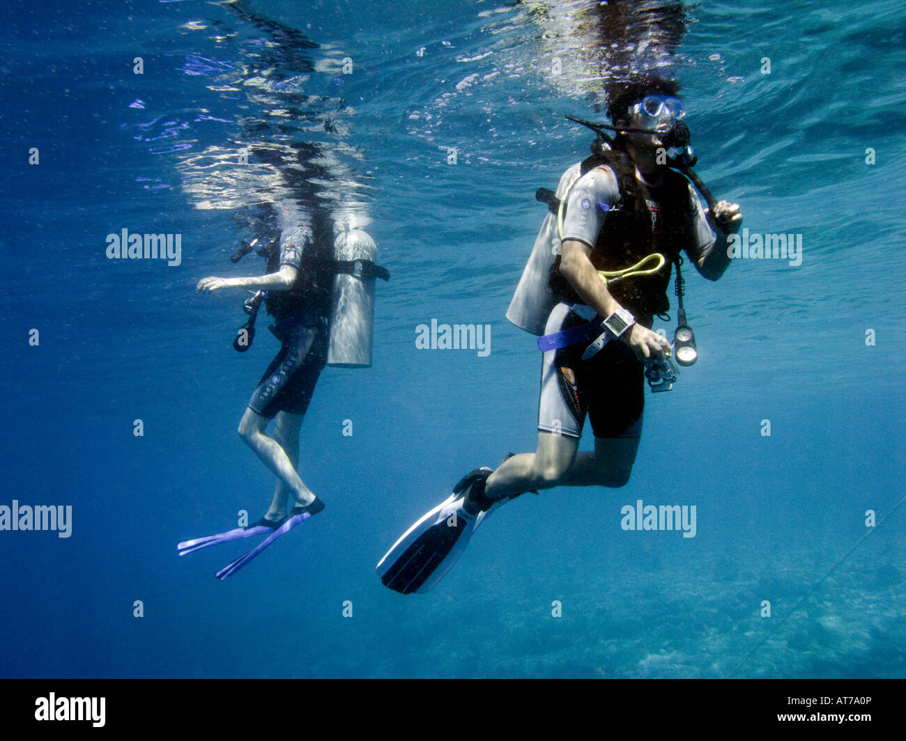 Maldives Scuba divers returning to surface after dive Stock Photo Alamy