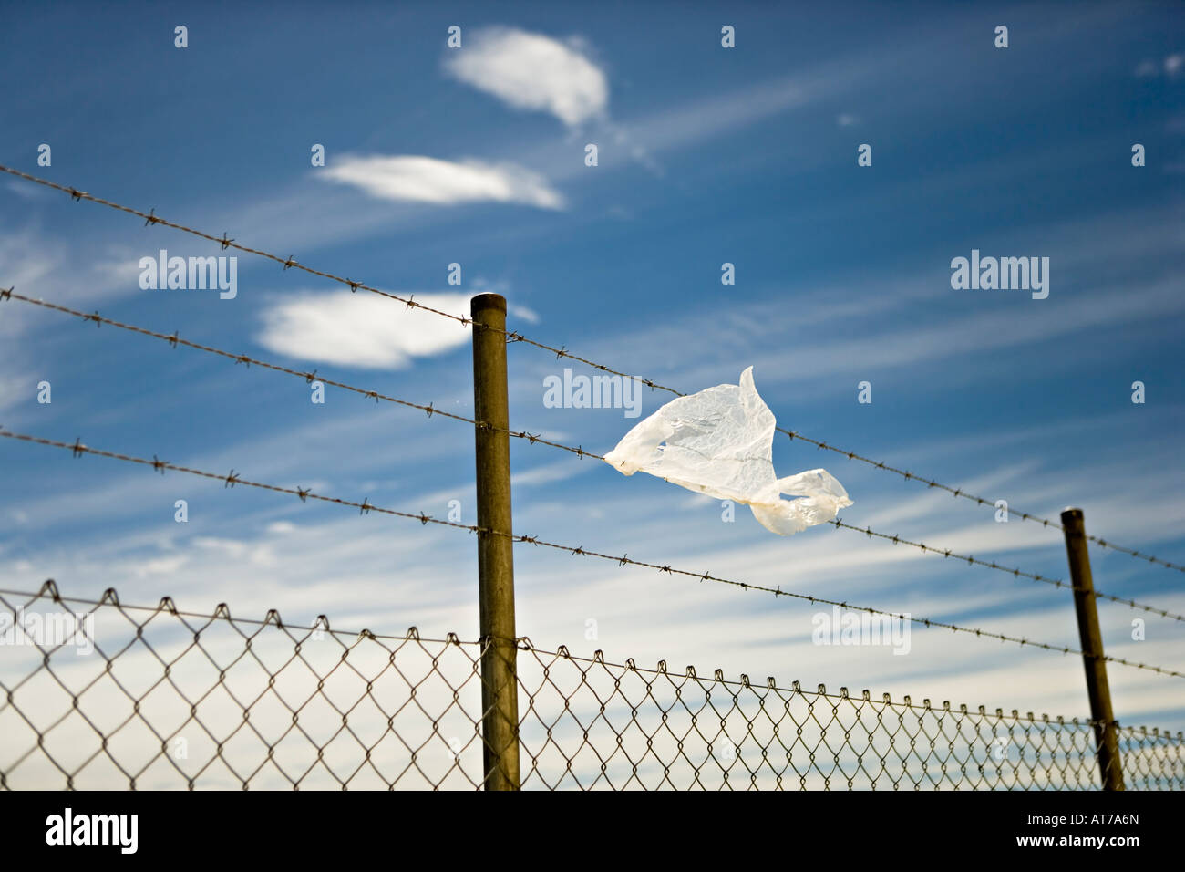 Plastic bag on barbed wire Stock Photo Alamy