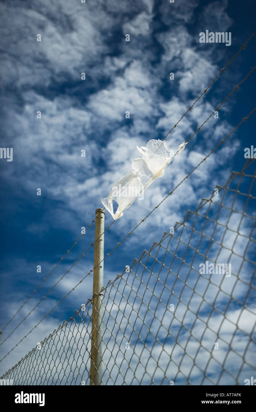 Plastic bag on barbed wire Stock Photo Alamy