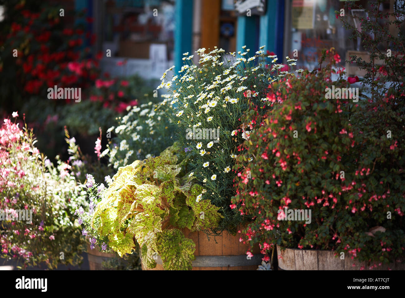 Morro Bay, San Luis Obispo County, California, USA Stock Photo