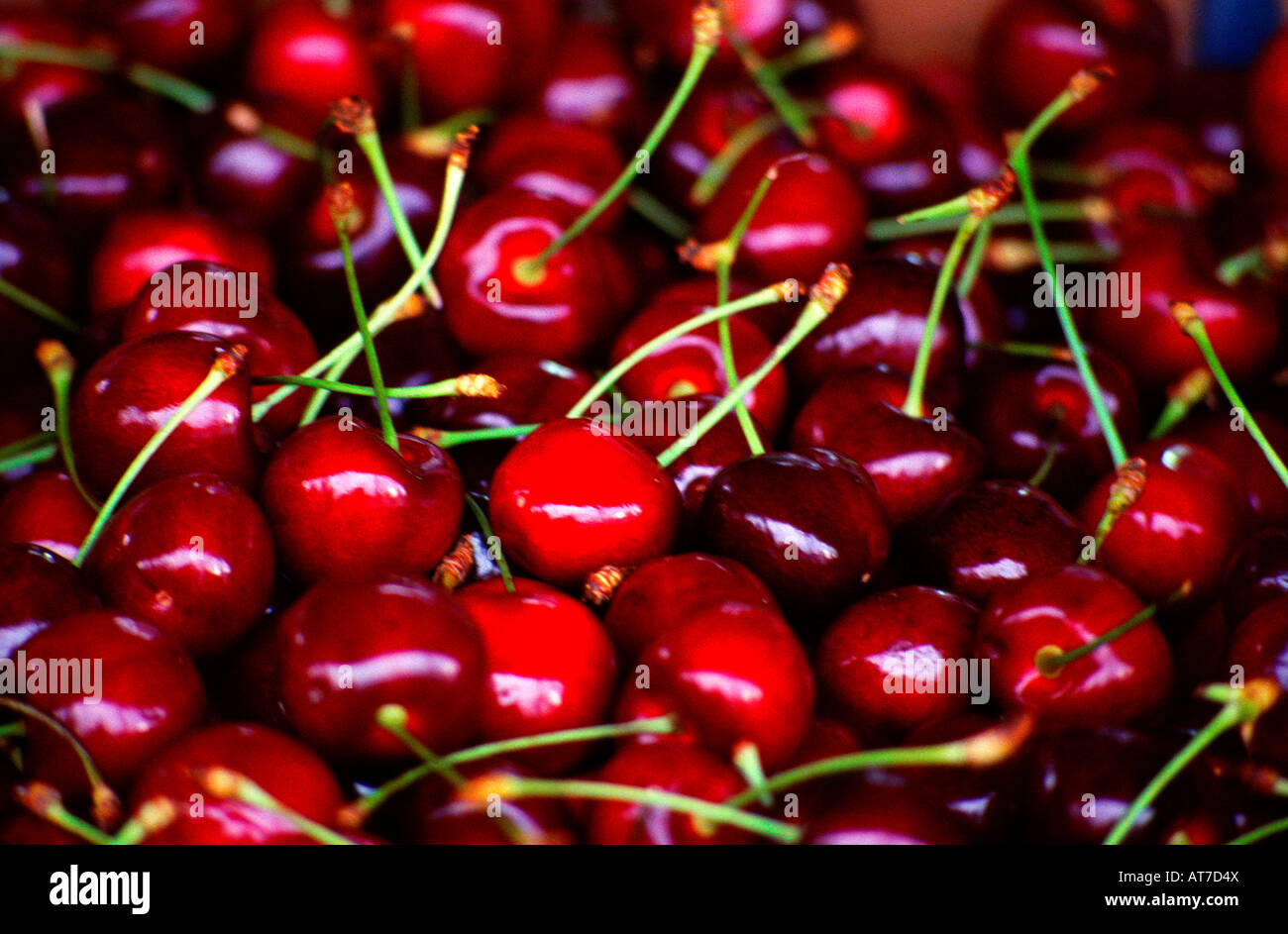 Glossy red cherries for sale at market Stock Photo Alamy