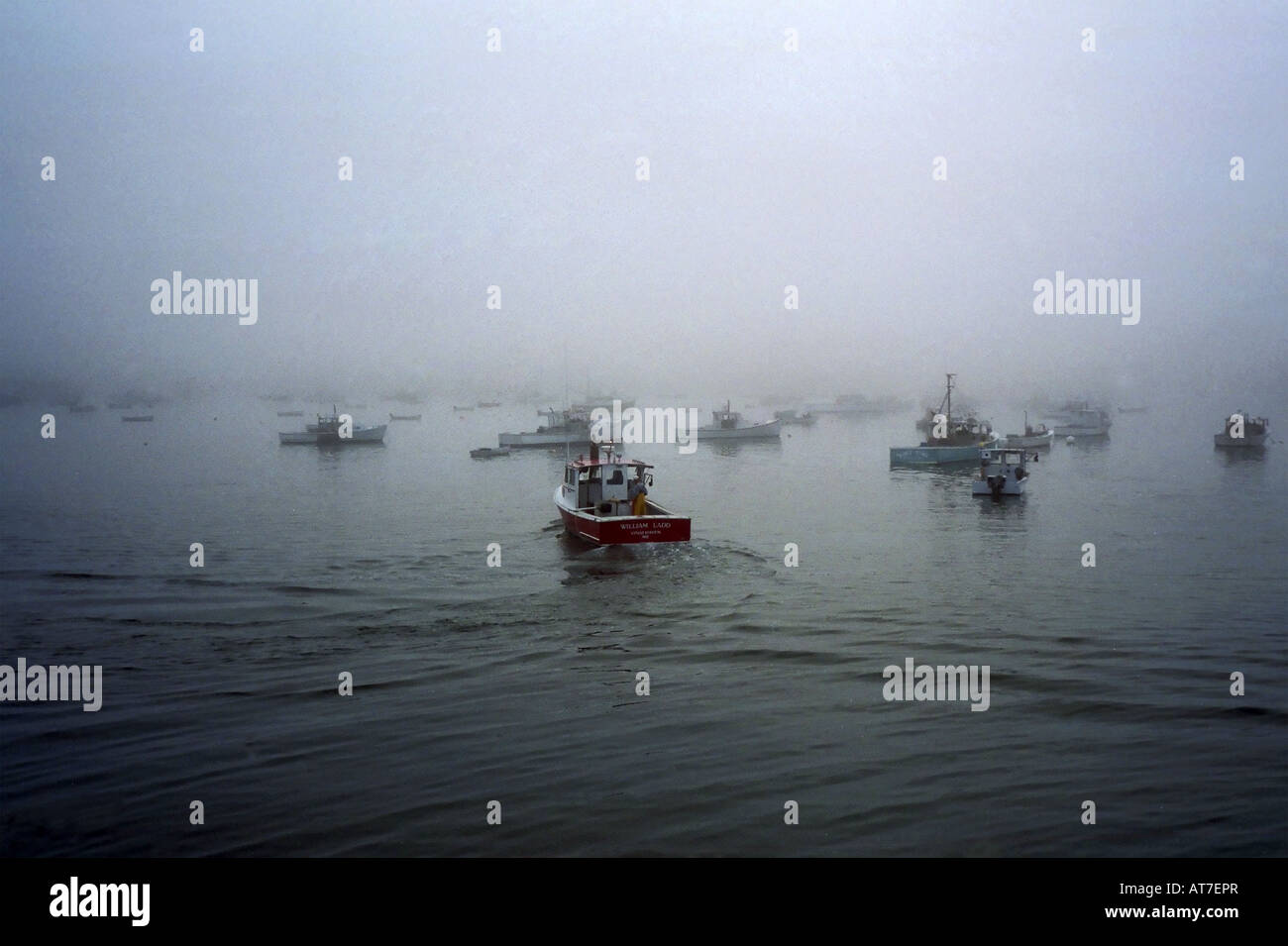 Lobster fleet Vinalhaven, Maine, USA Stock Photo