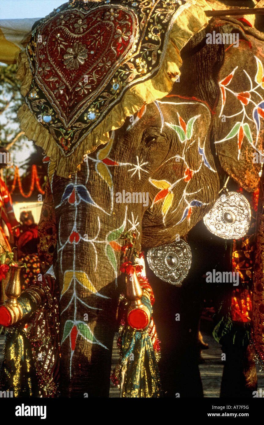 An elaborately decorated Indian elephant adorned with jeweled cloth and silver bangles at a celebration India Stock Photo