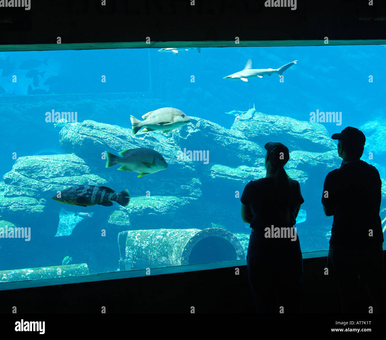 Visitors at the shipwrecked themed Sea World Aquarium uShaka Marine