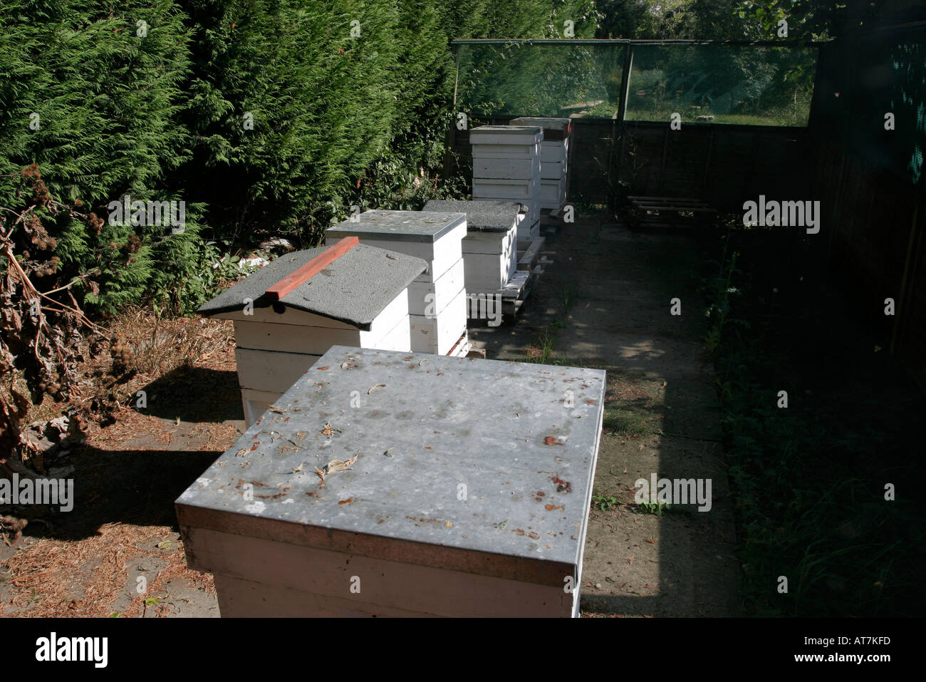 Pictures of bee hives hi-res stock photography and images - Alamy